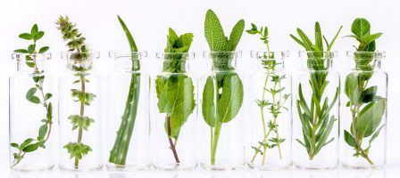 Natural herbs and ingredients in clear glass bottles.