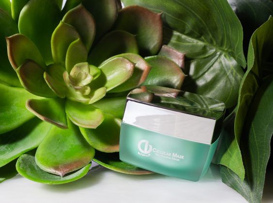 Christine Valmy skin care product, Cellular Mask, next to a succulent.