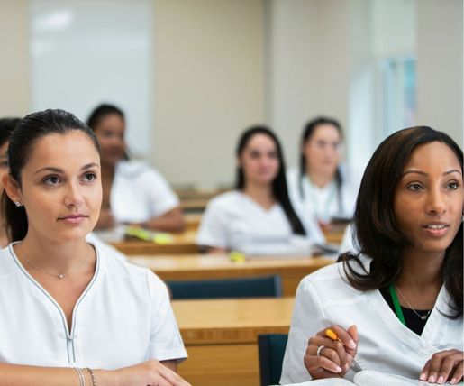 your options at a glance